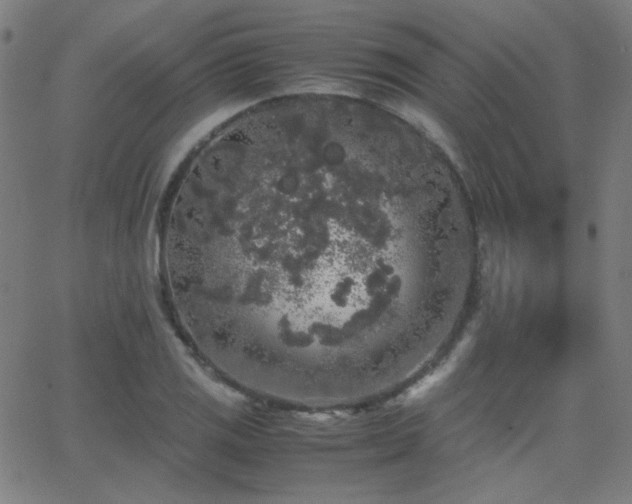 X0000062851125200601131343