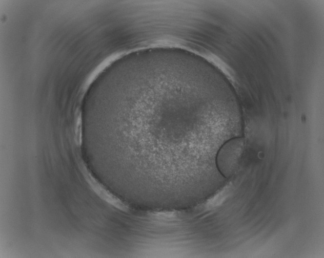 X0000062851126200601131343