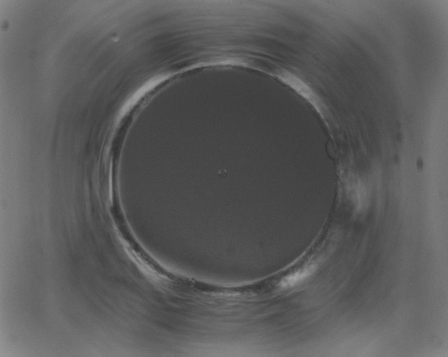 X0000062851127200601131343