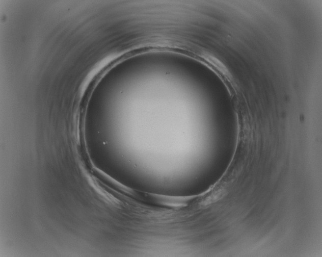 X0000062851128200601131343