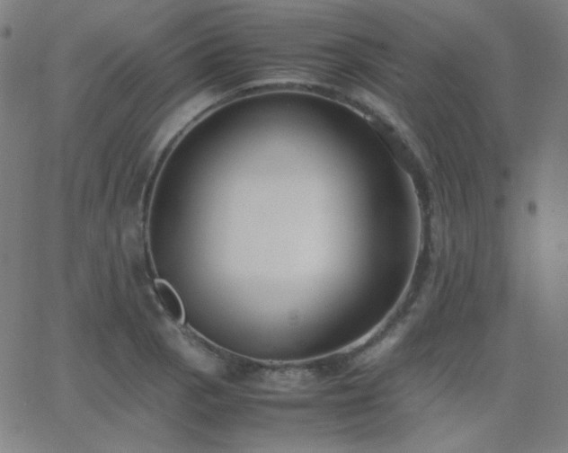 X0000062851129200601131343