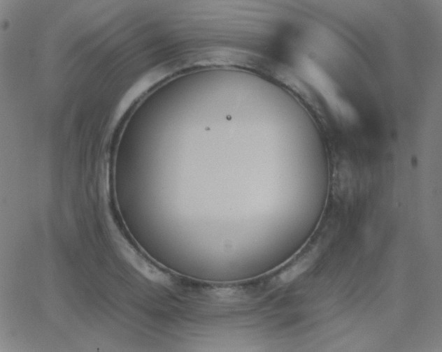 X0000062851130200601131343