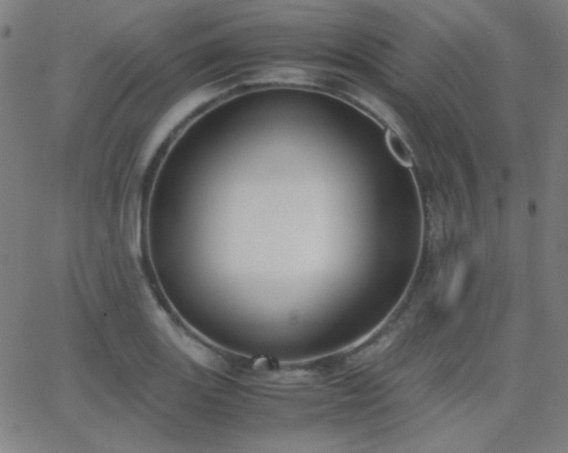 X0000062851131200601131343