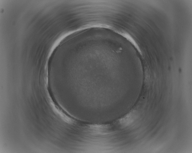 X0000062851132200601131343