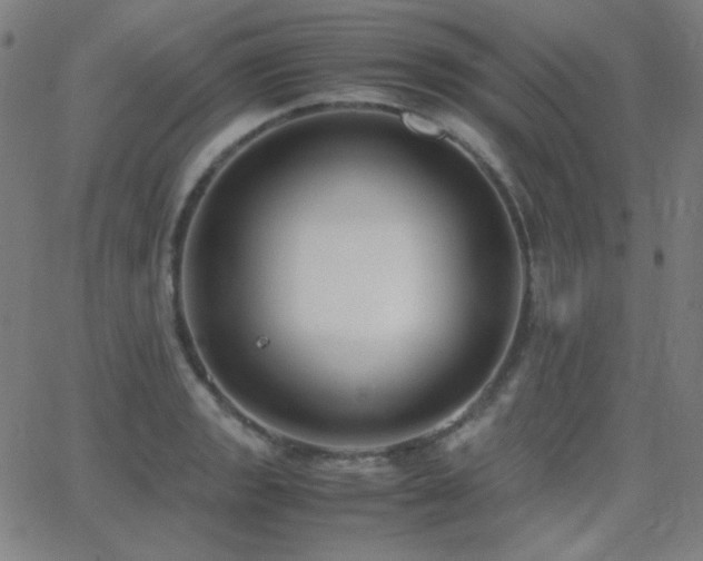 X0000062851133200601131343