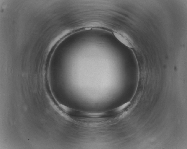 X0000062851134200601131343