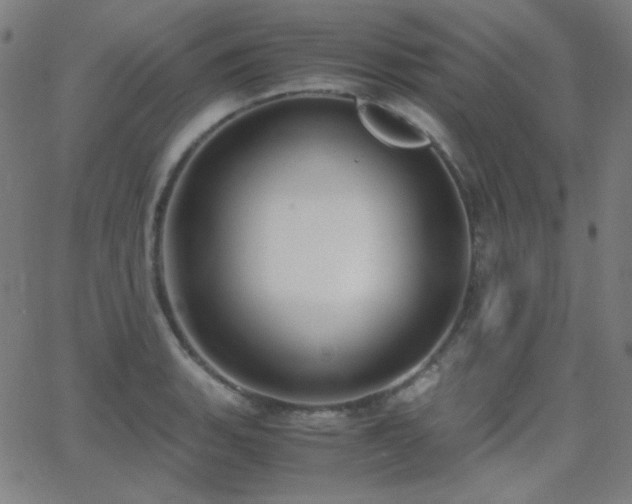 X0000062851135200601131343