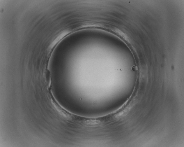 X0000062851137200601131343