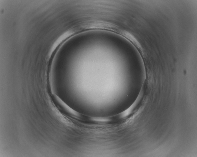 X0000062851138200601131343