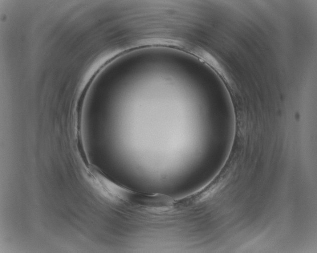 X0000062851140200601131343