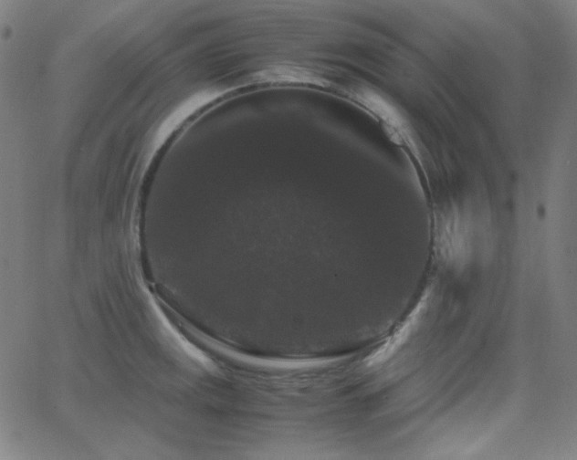 X0000062851141200601131343