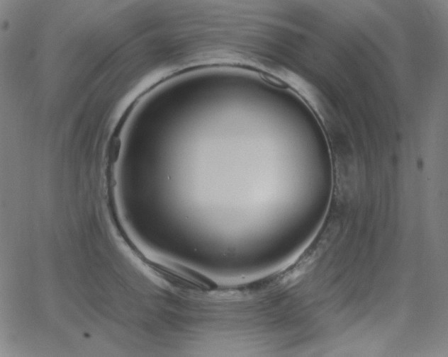 X0000062851142200601131343