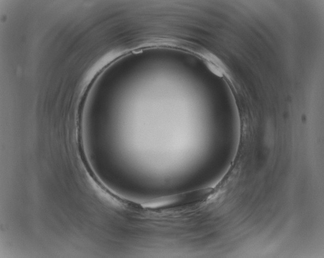 X0000062851143200601131343