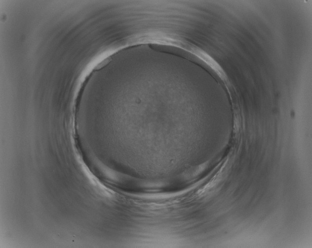 X0000062851144200601131343