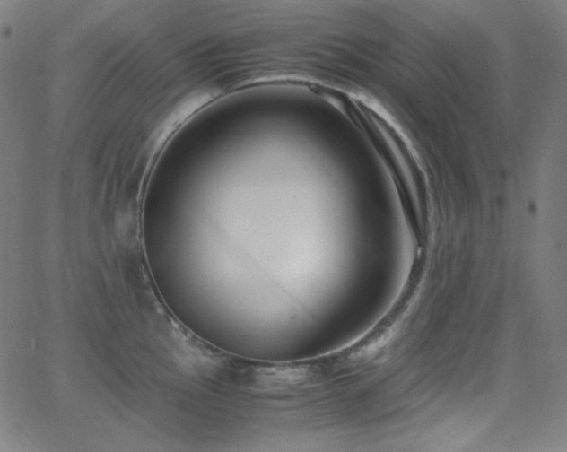 X0000062851145200601131343