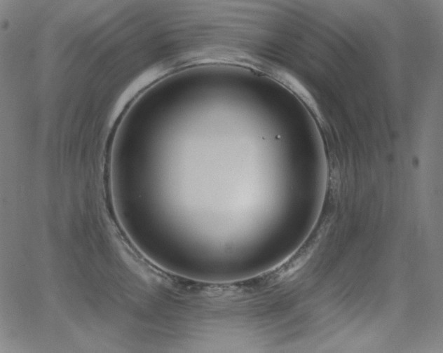 X0000062851146200601131343