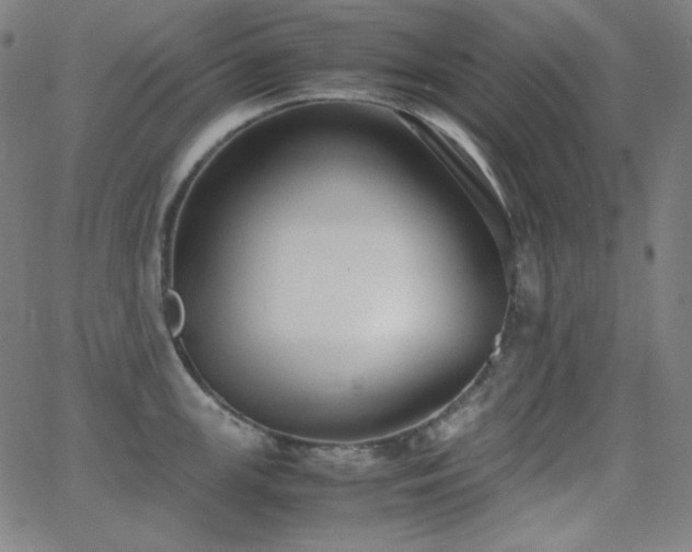 X0000062851147200601131343