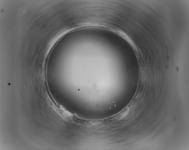 X0000062851148200601131343