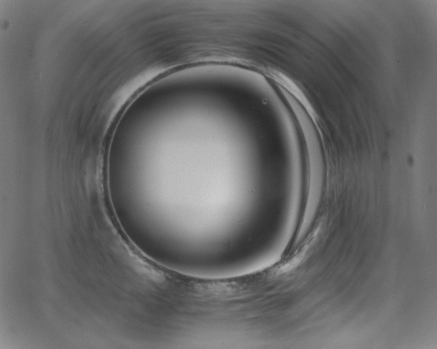 X0000062851149200601131343