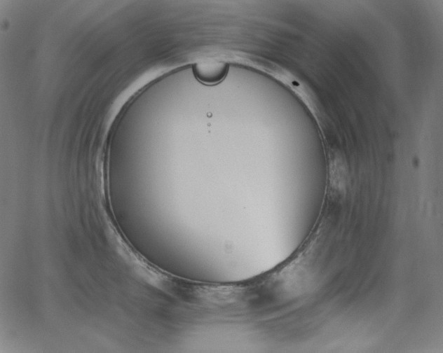 X0000062851150200601131343