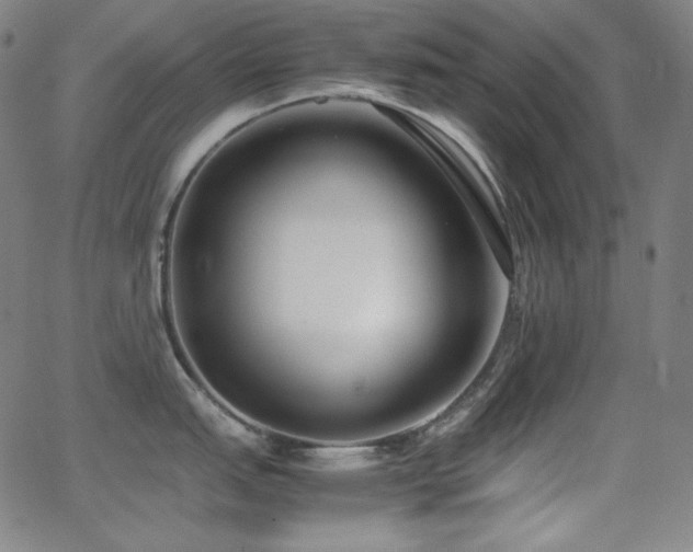 X0000062851151200601131343