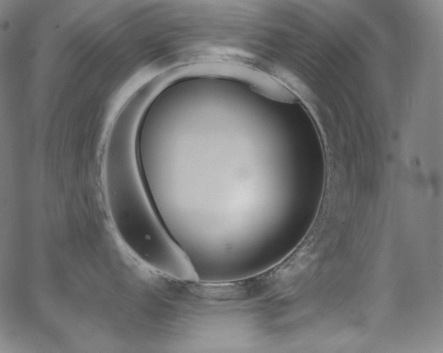 X0000062851152200601131343