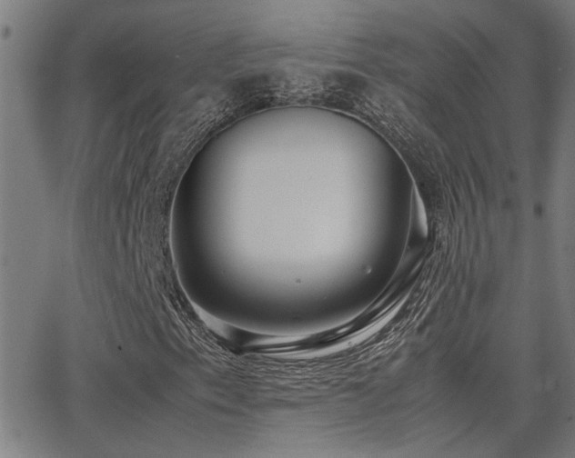 X0000062851153200601131342