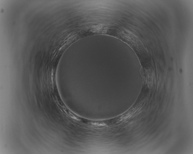 X0000062851154200601131342