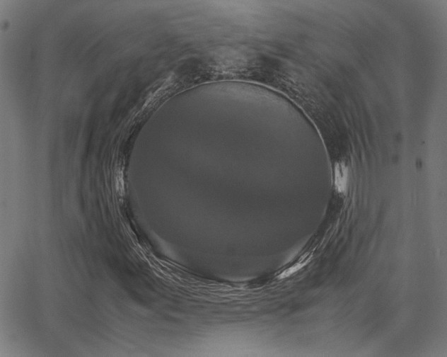 X0000062851155200601131342