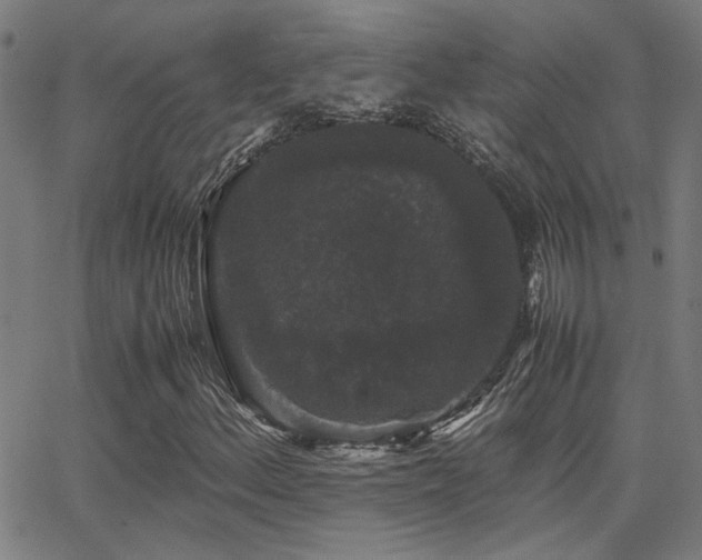 X0000062851156200601131342