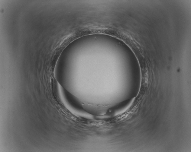 X0000062851157200601131342