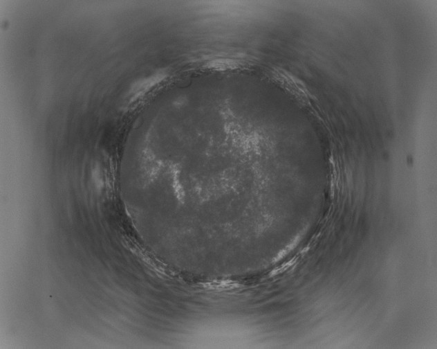 X0000062851158200601131342