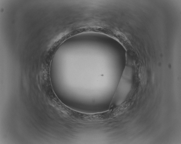 X0000062851159200601131342