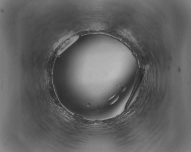 X0000062851160200601131342