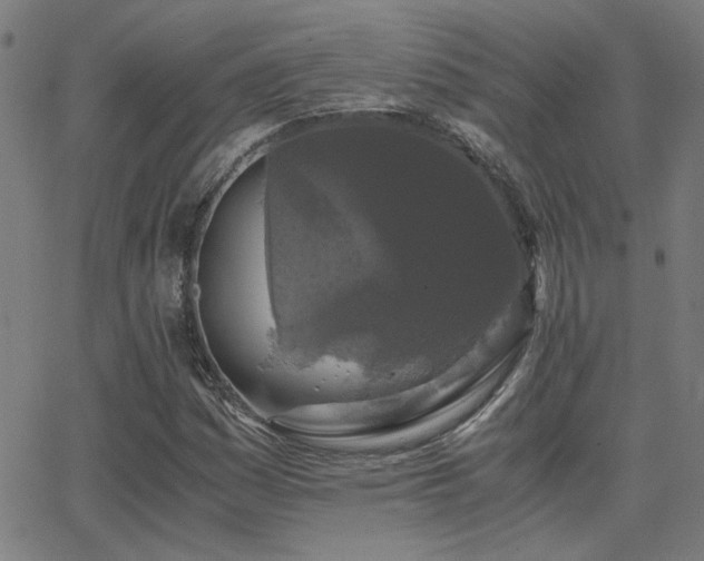 X0000062851161200601131342