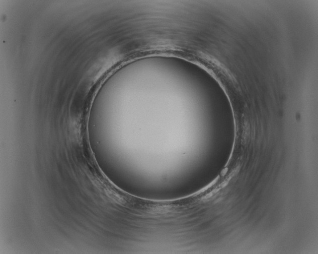 X0000062851162200601131342