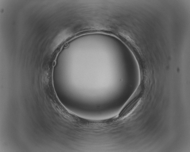 X0000062851163200601131342