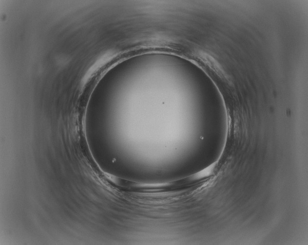 X0000062851164200601131342