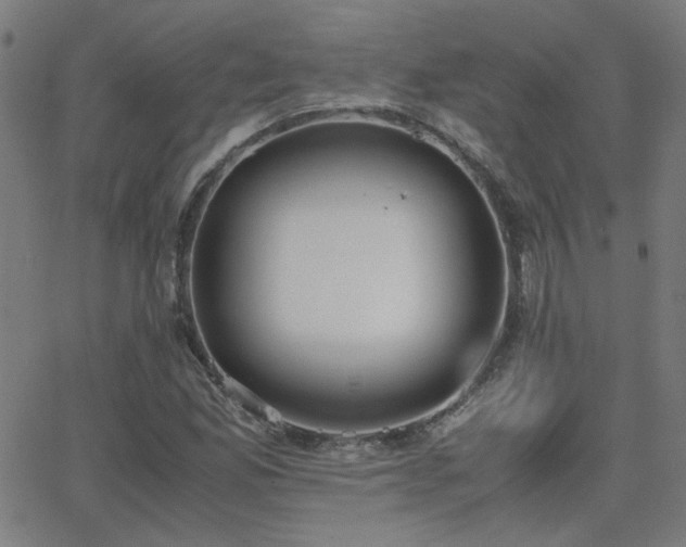 X0000062851165200601131342