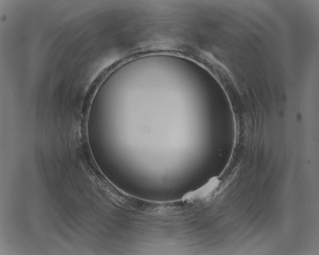 X0000062851166200601131342