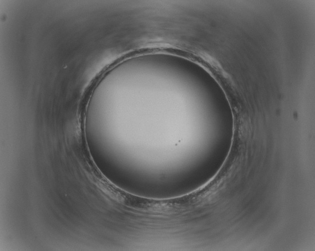 X0000062851167200601131342