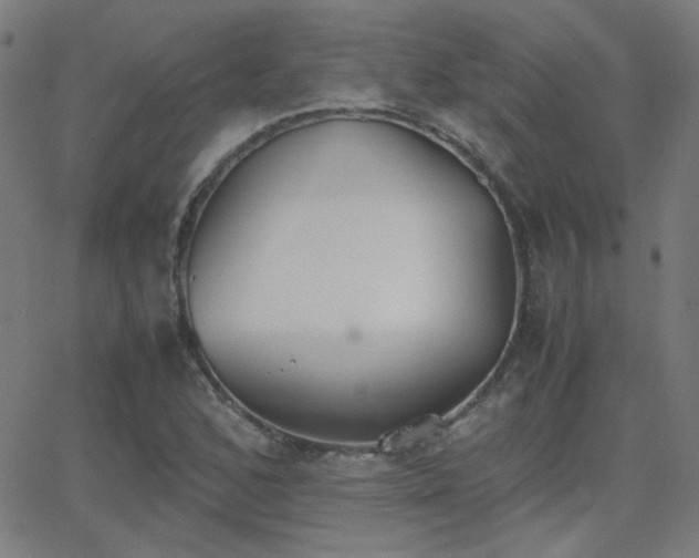 X0000062851168200601131342