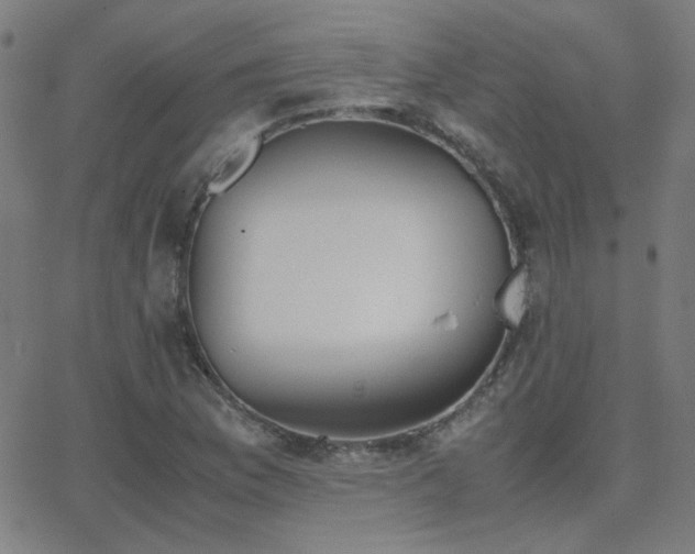 X0000062851169200601131342