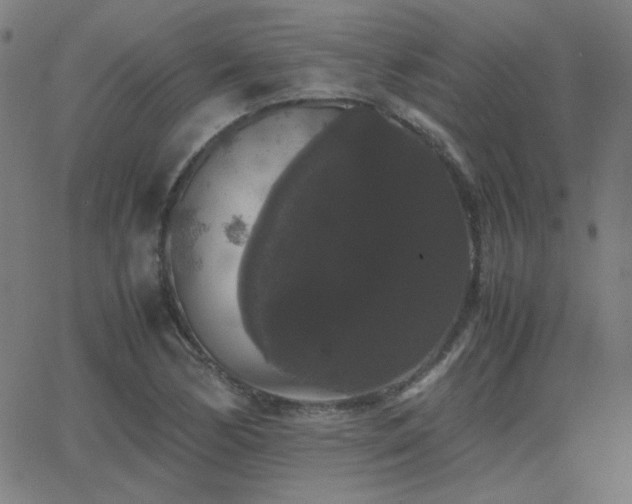 X0000062851170200601131342