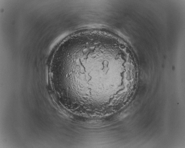 X0000062851171200601131342