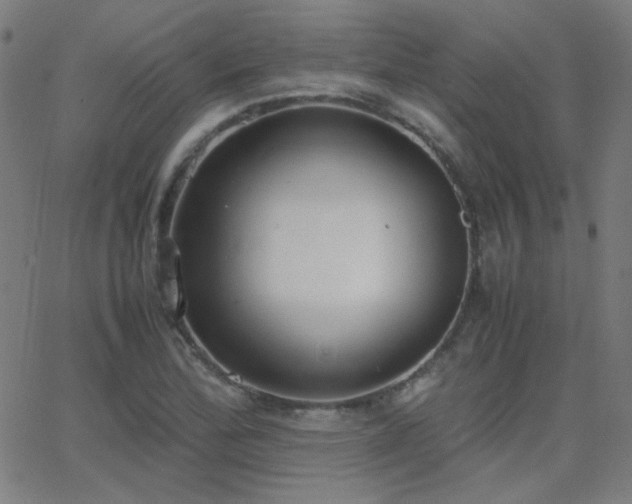 X0000062851172200601131342