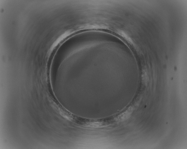 X0000062851173200601131342