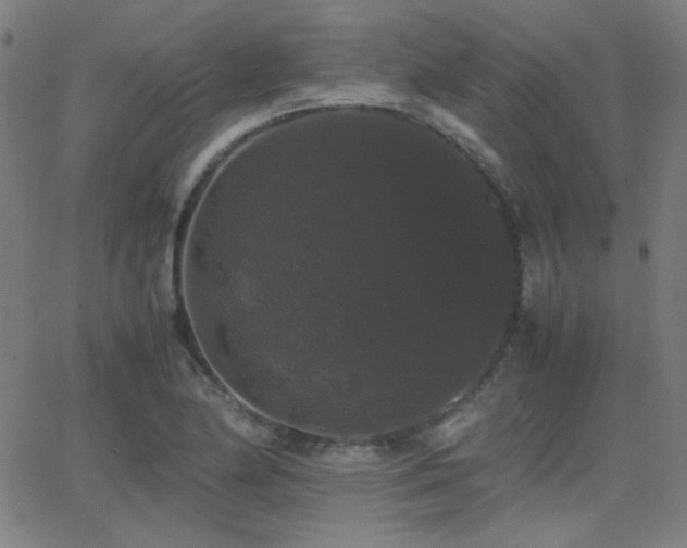 X0000062851174200601131342