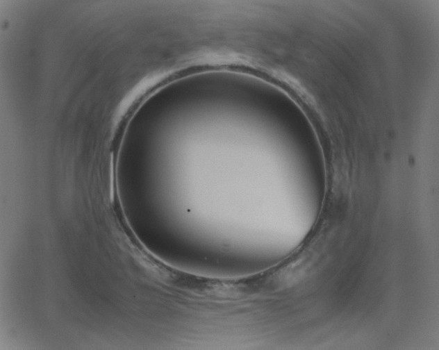 X0000062851175200601131342