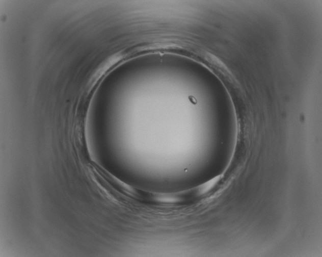 X0000062851177200601131342